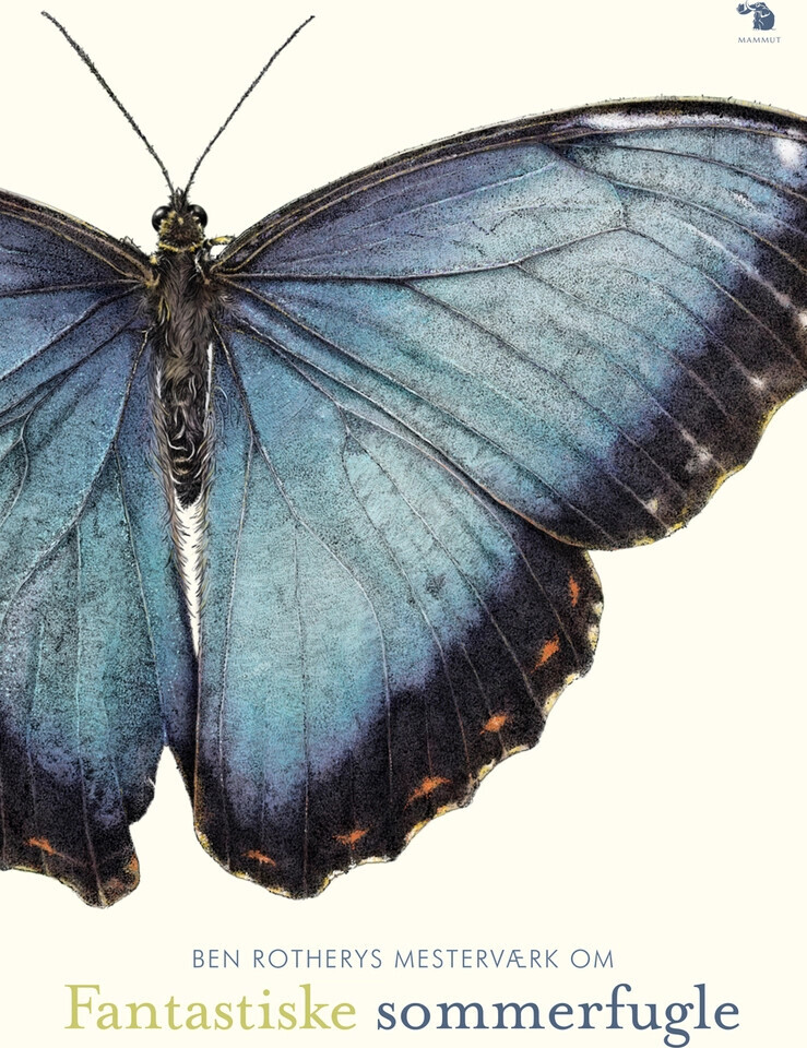 Fantastiske Sommerfugle