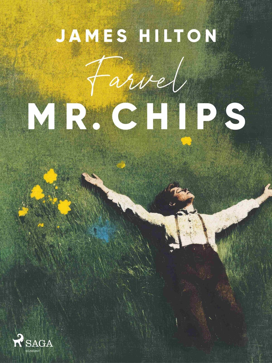 Farvel Mr Chips