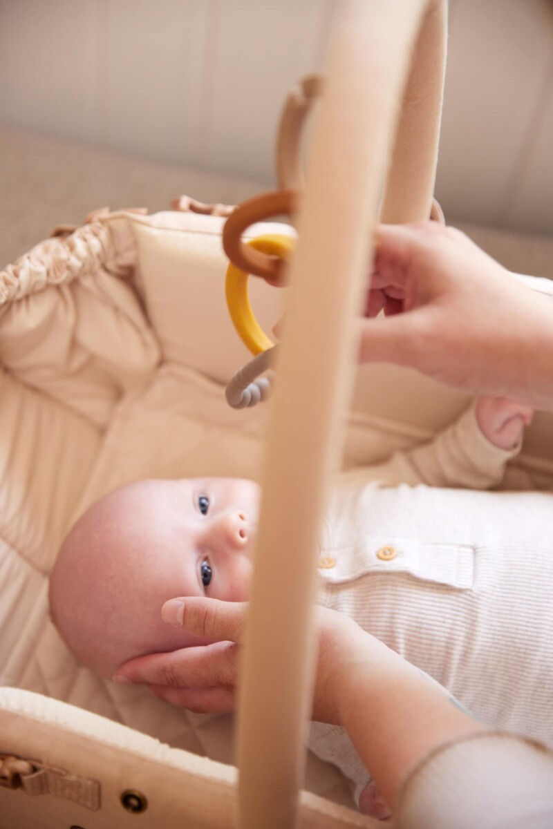 Filibabba - Aktivitetsbøjle Til Frida Swift Babylift - Varm Grå