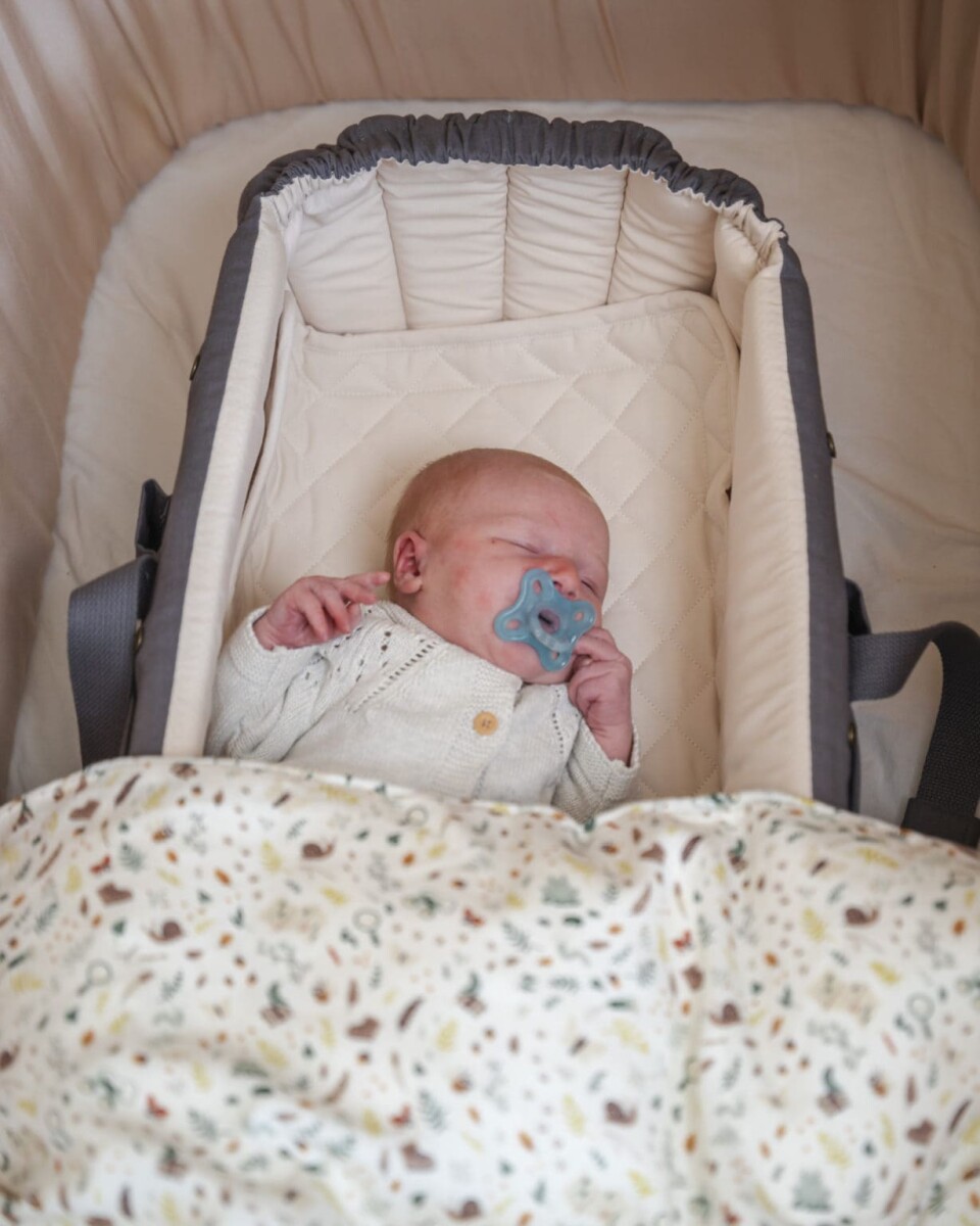 Filibabba - Frida Swift Babylift 20 - Grey