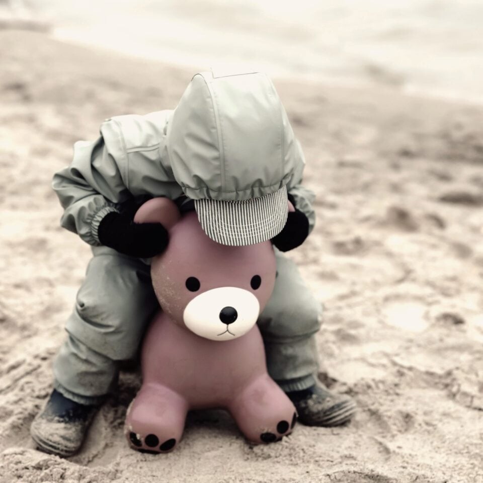 Find That Hippo - Hoppedyr - Bjørn