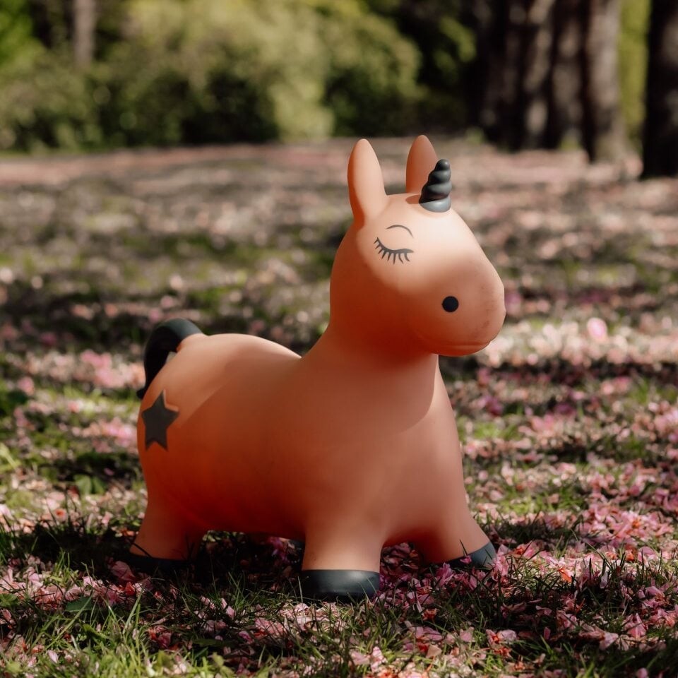 Find That Hippo - Hoppedyr - Enhjørning