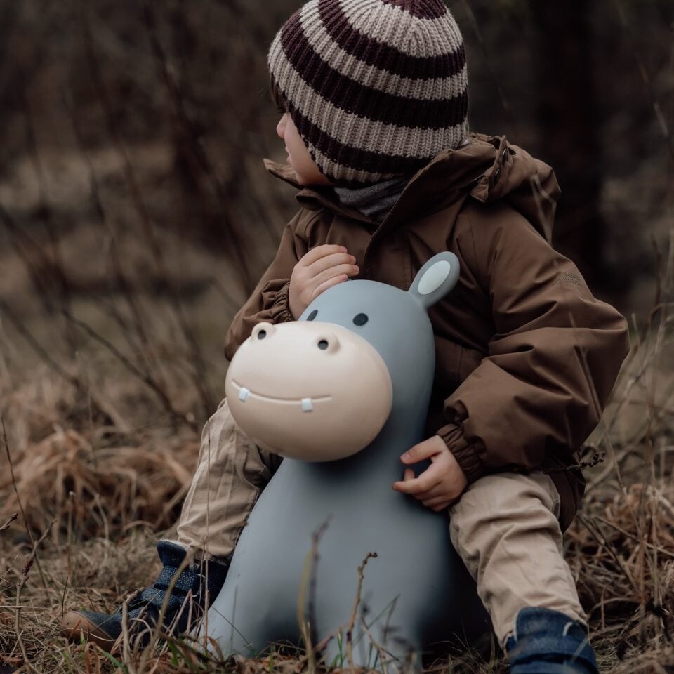 Find That Hippo - Hoppedyr - Flodhest