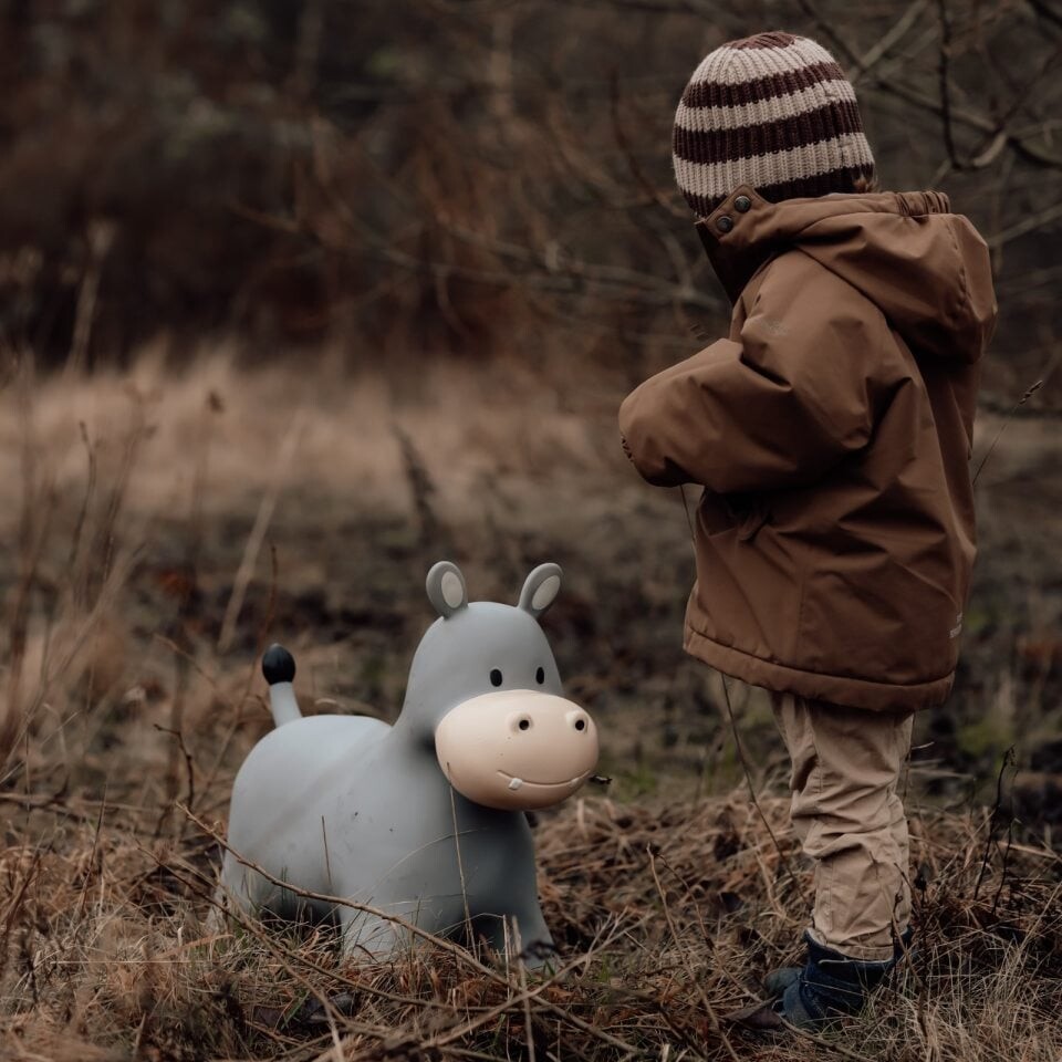 Find That Hippo - Hoppedyr - Flodhest