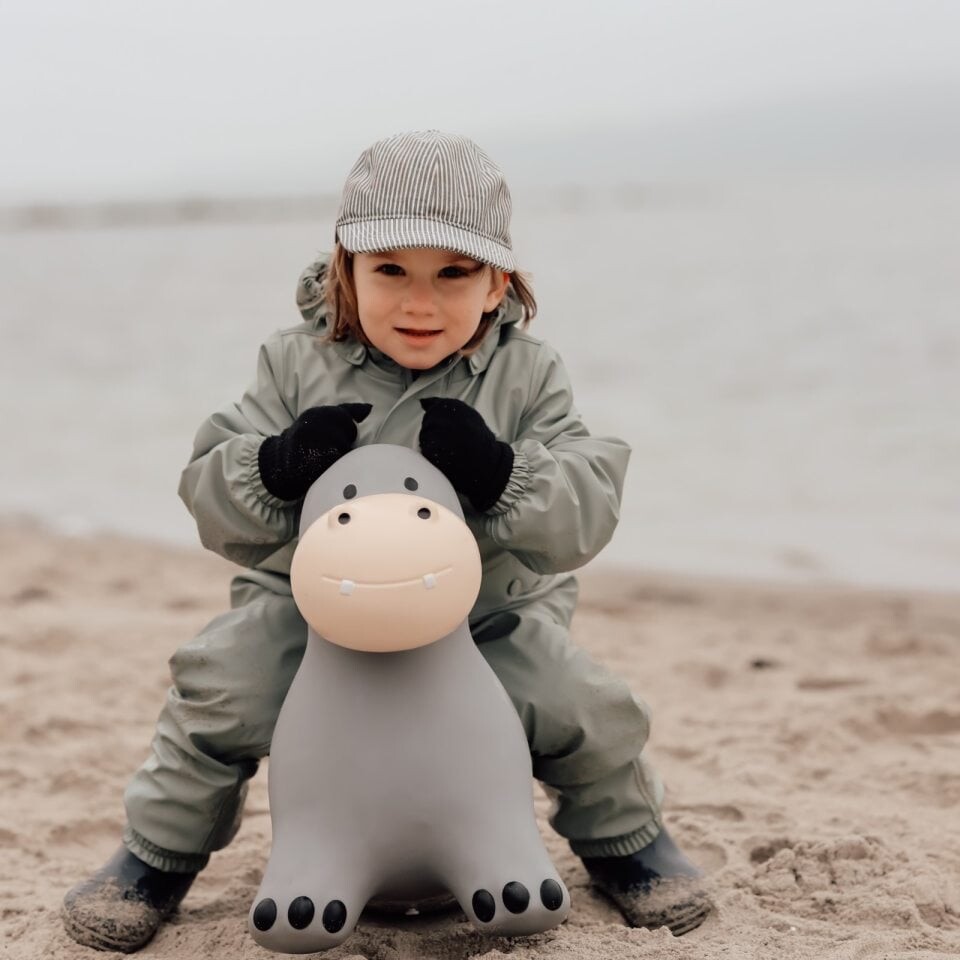 Find That Hippo - Hoppedyr - Flodhest