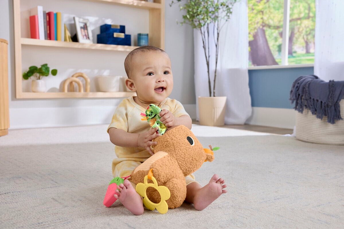 Fisher-Price - Snuggly Snacky Capy