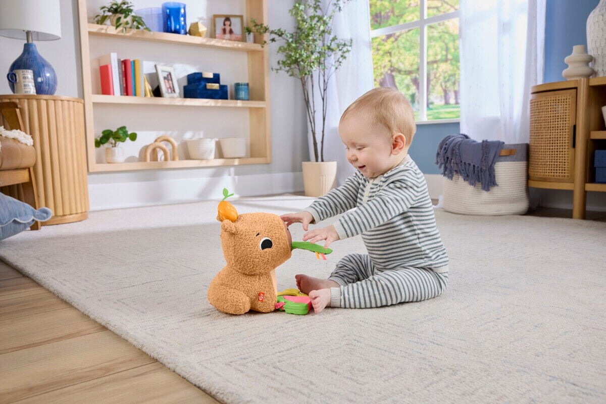 Fisher-Price - Snuggly Snacky Capy