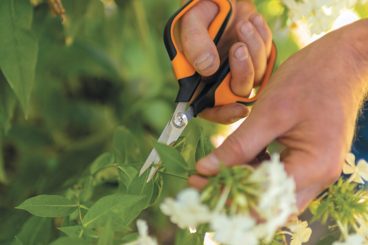 Fiskars - Solid Snip Sp15 - Blomstersaks