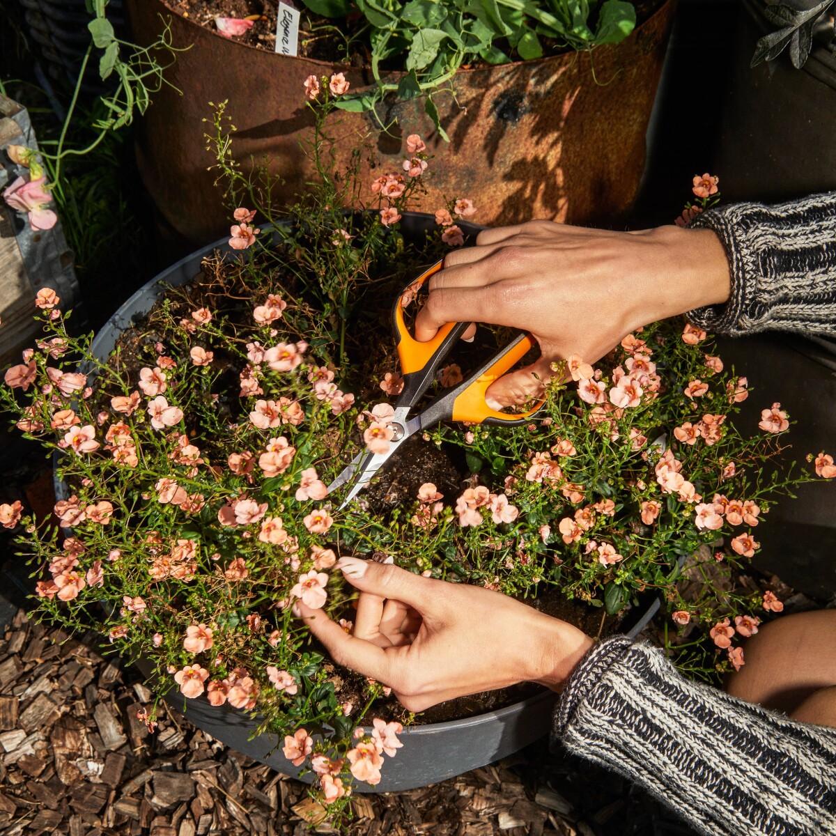 Fiskars - Solid Snip Sp15 - Blomstersaks