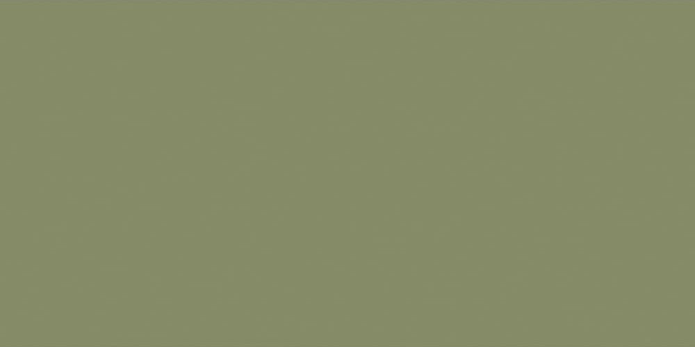 Lefranc Bourgeois - Flashe Akrylmaling - Light Green Earth - 125 Ml