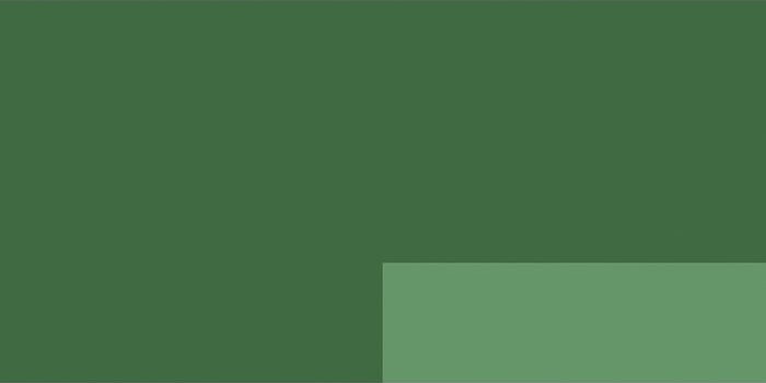 Lefranc Bourrgeois - Akrylmaling - Chromium Oxide Green 80 Ml