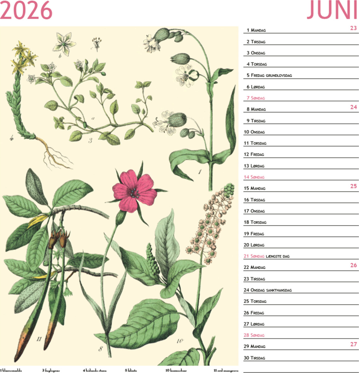 Flora Kalender 2026