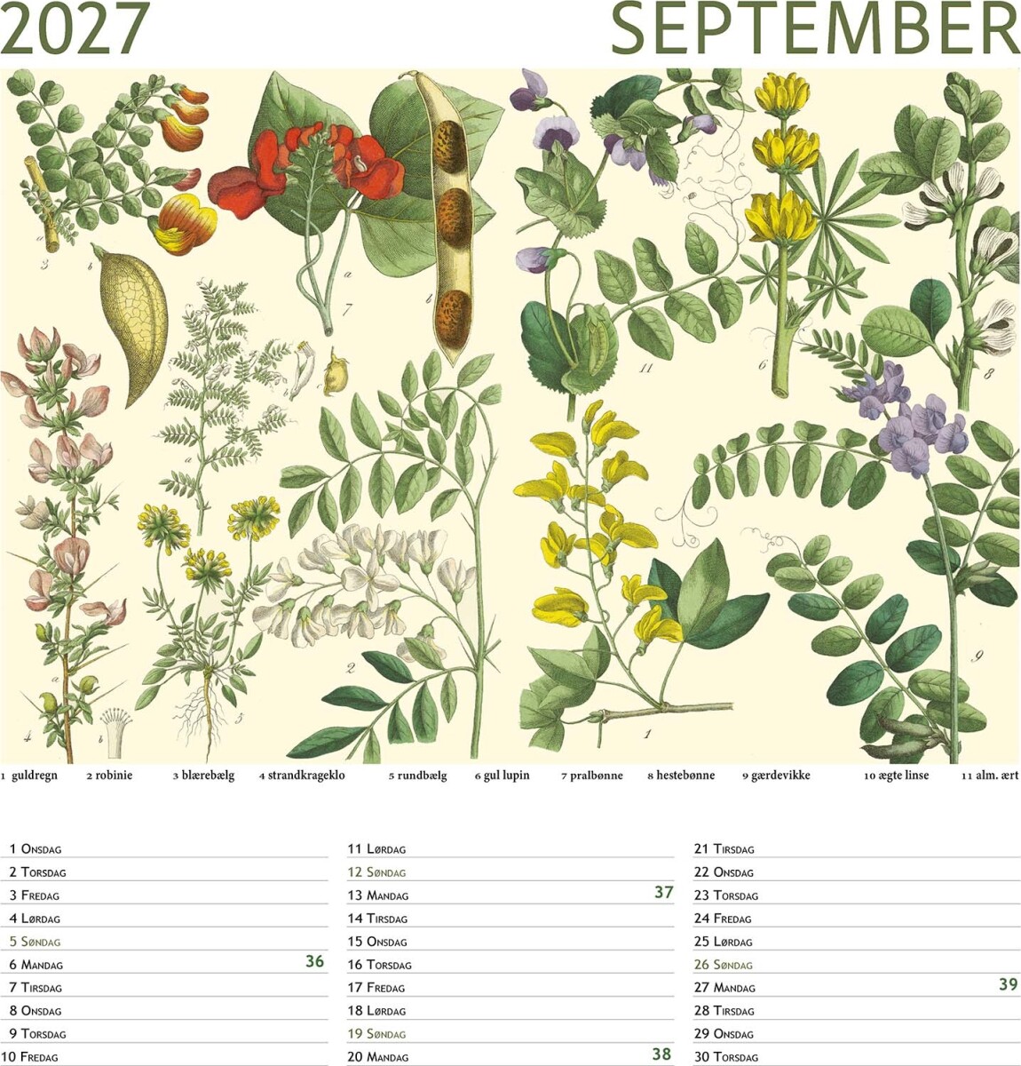 Lamberth - Natur Flora Kalender 2027