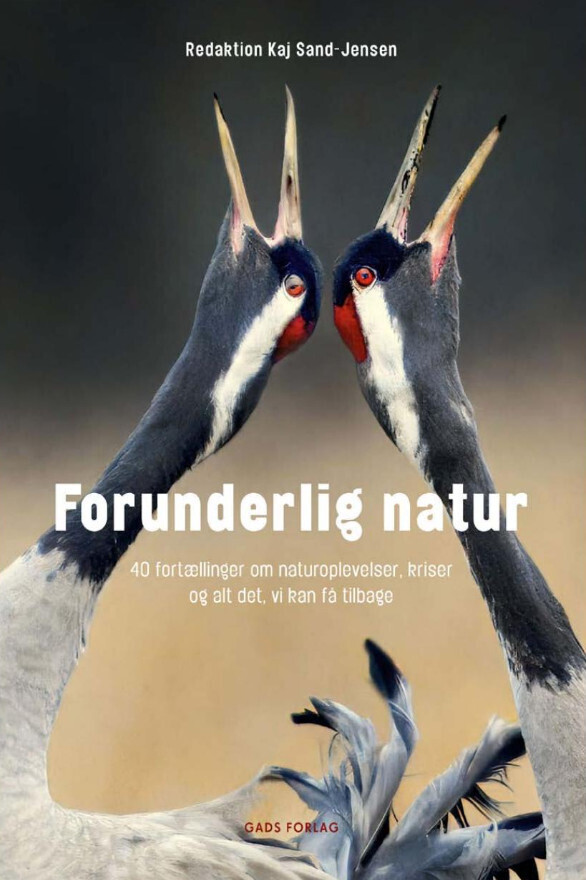 Forunderlig Natur