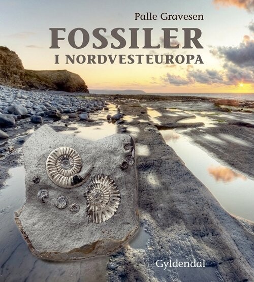 Fossiler I Nordvesteuropa