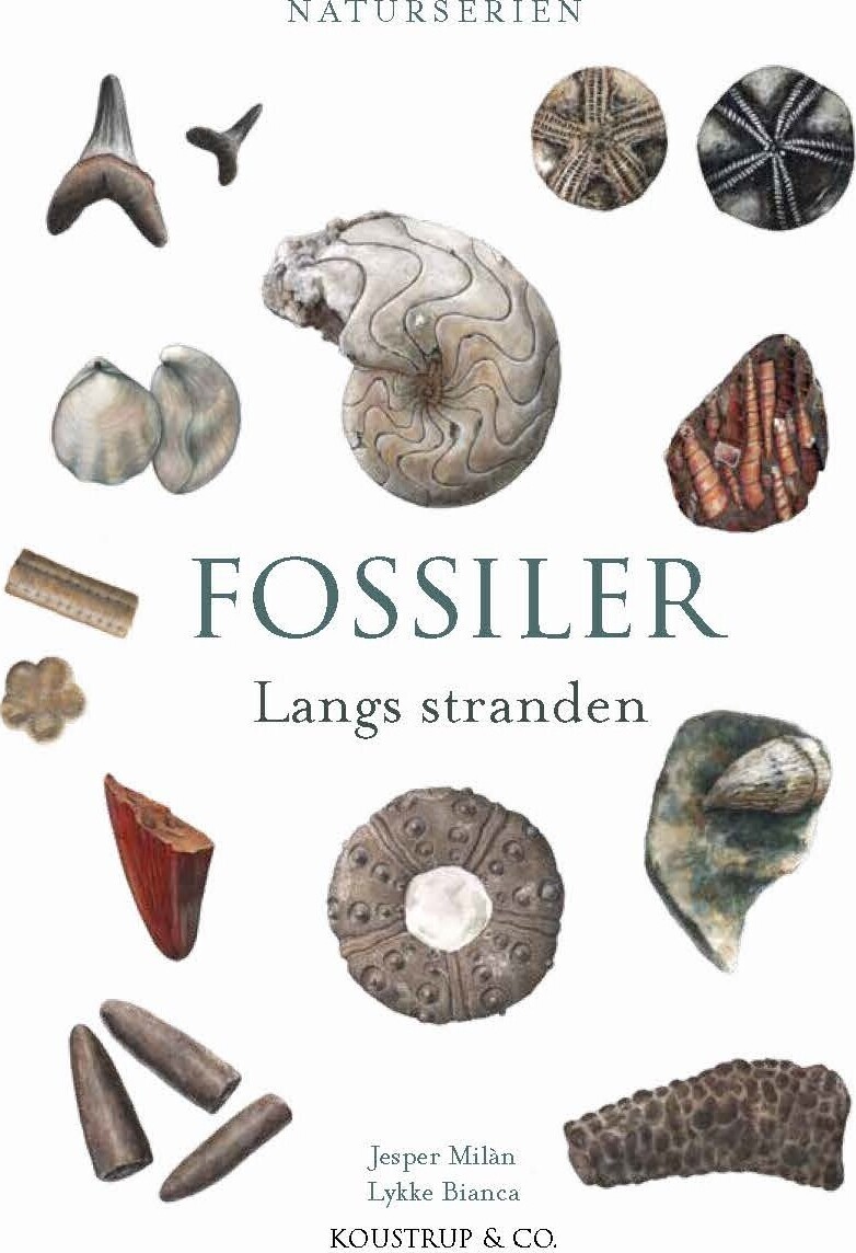 Fossiler
