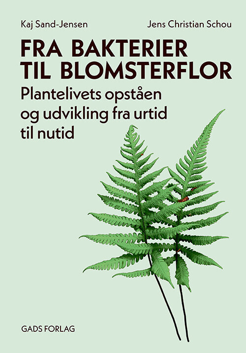 Fra Bakterier Til Blomsterflor