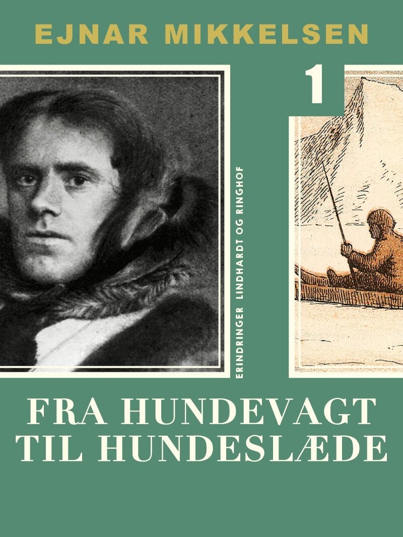 Fra Hundevagt Til Hundeslæde