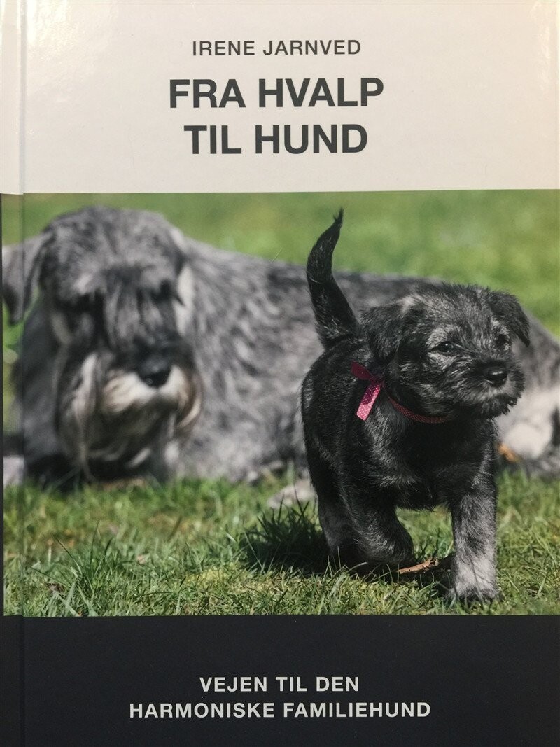 gennemse Vurdering podning Fra Hvalp Til Hund af Irene Jarnved - Indbundet Bog - Gucca.dk