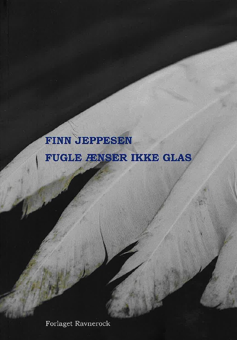Fugle Ænser Ikke Glas