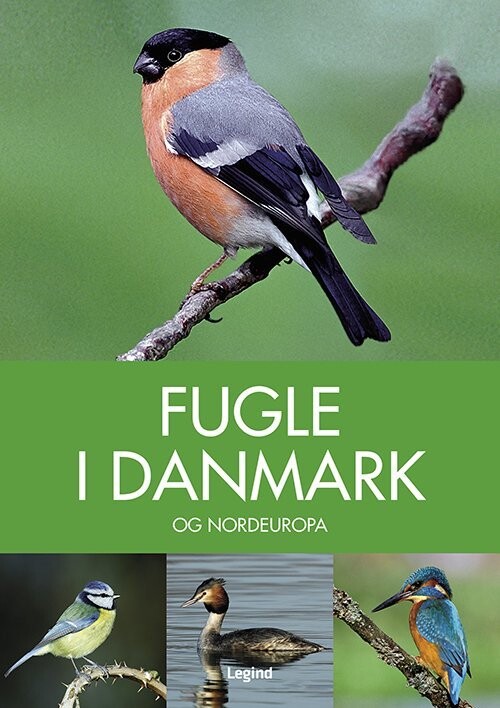 Fugle I Danmark