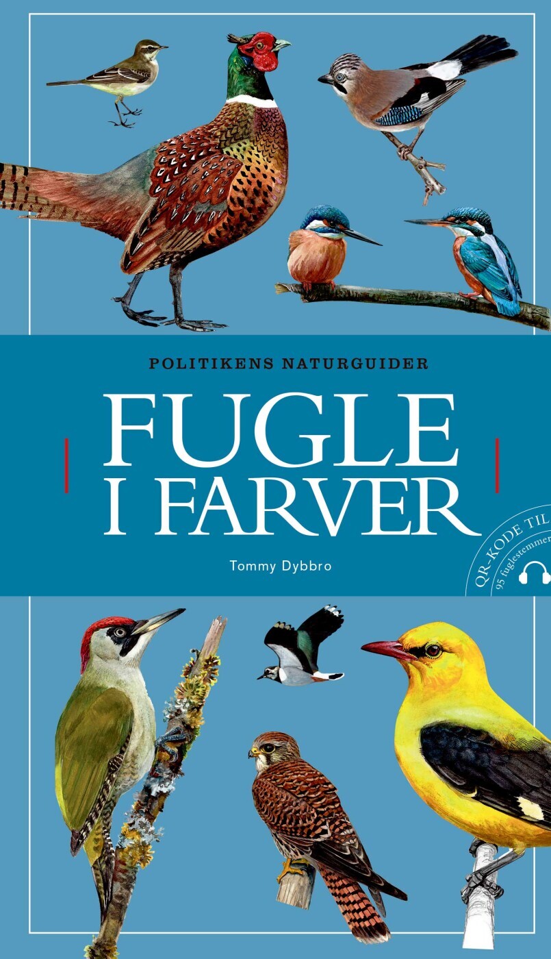 Fugle I Farver