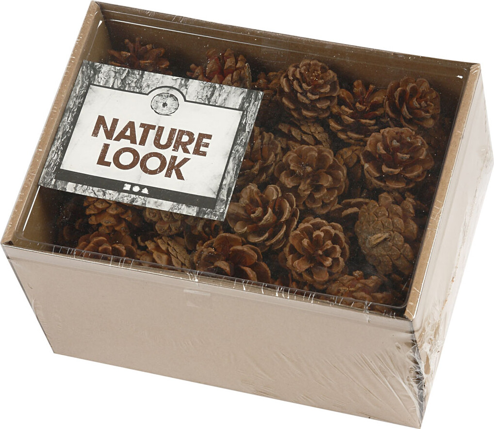 Fyrrekogler - Ø 40 Mm - 500 G