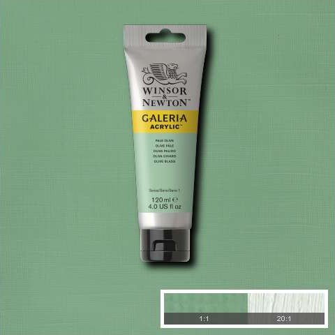 Winsor Newton - Galeria Akrylmaling - Pale Olive 120 Ml