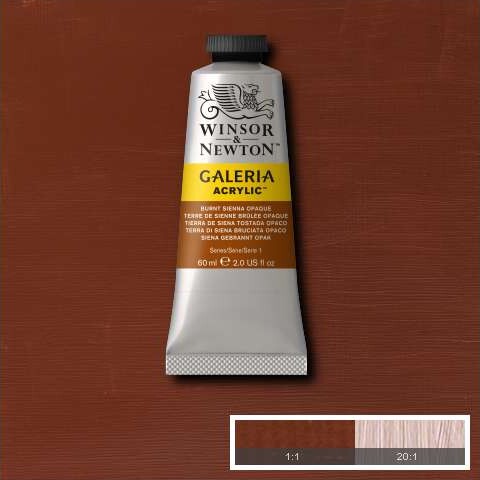 Winsor Newton - Galeria Acrylic - 60 Ml - Burnt Sienna Opaque 077