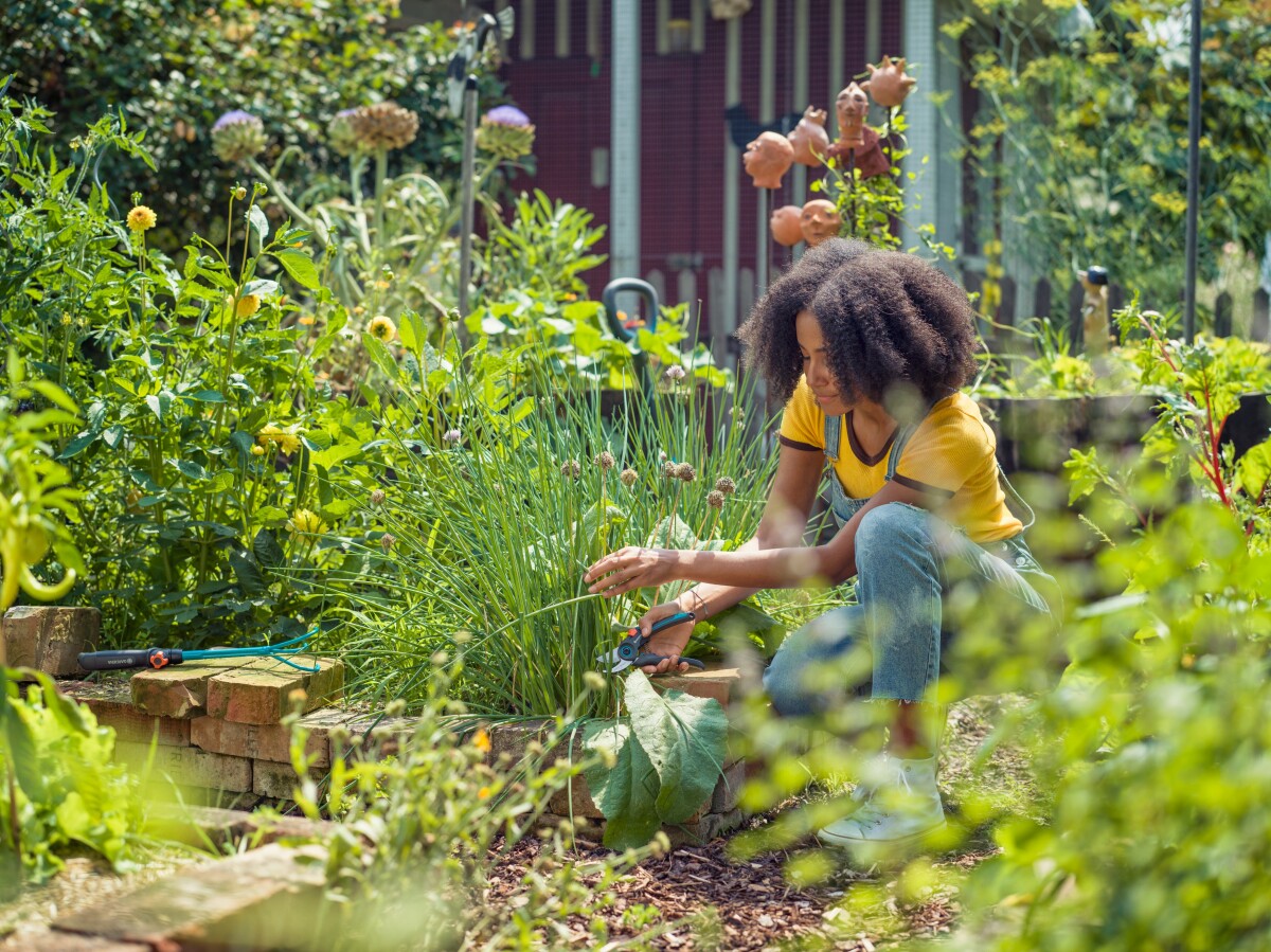 Gardena - Beskæresaks - Expertcut