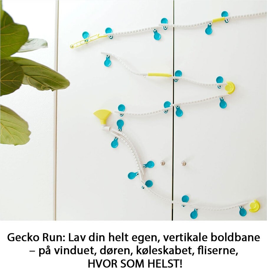 Gecko Run - Starter Set - Kuglebane