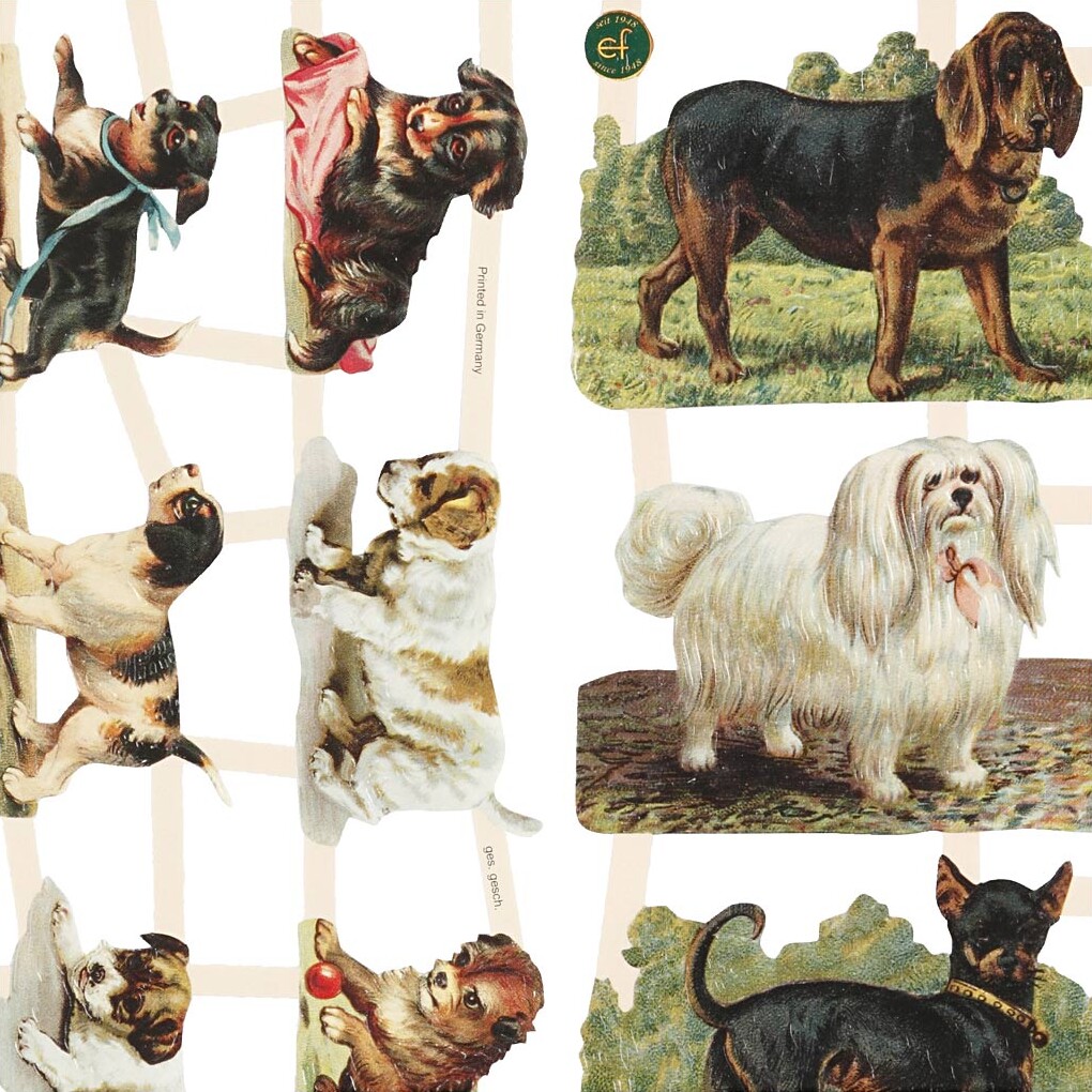 Glansbilleder - Hunde - 2 Ark
