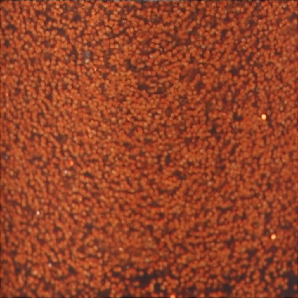Glitterlim - Orange - 118 Ml