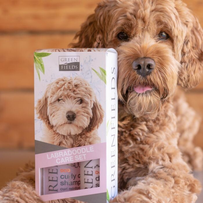 Pelspleje Sæt Til Labradoodle Hunde 2x250 Ml - Greenfields | Se Tilbud ...