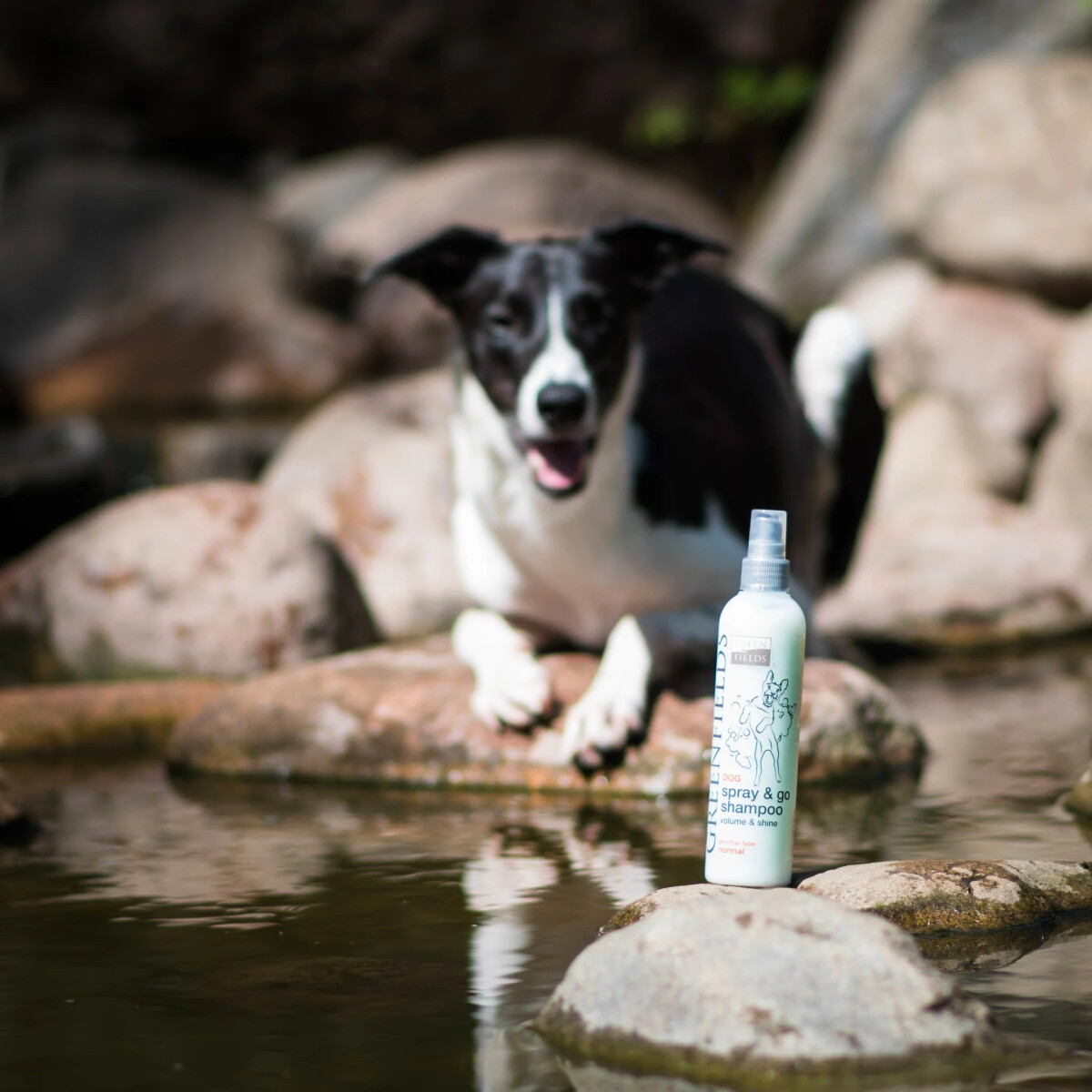 Greenfields - Shampoo Til Hunde - Spray Go 250 Ml