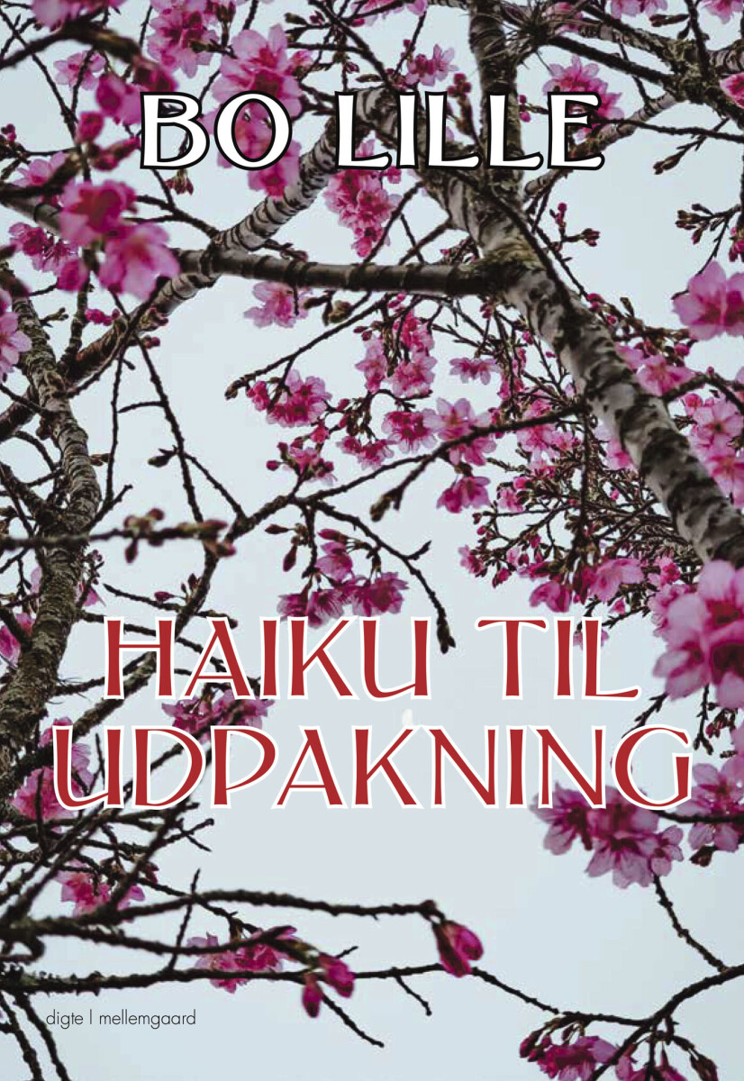Haiku Til Udpakning