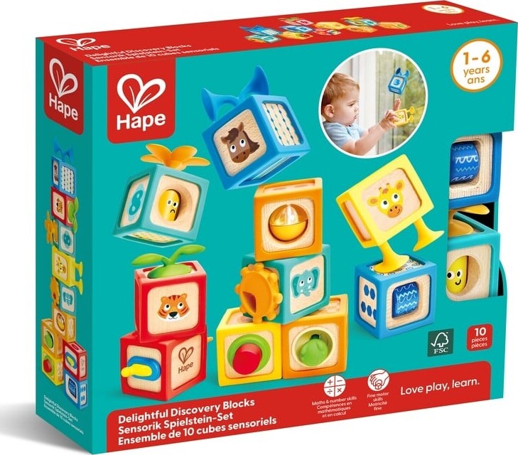 Hape - Delightful Discovery Blocks 87-0541