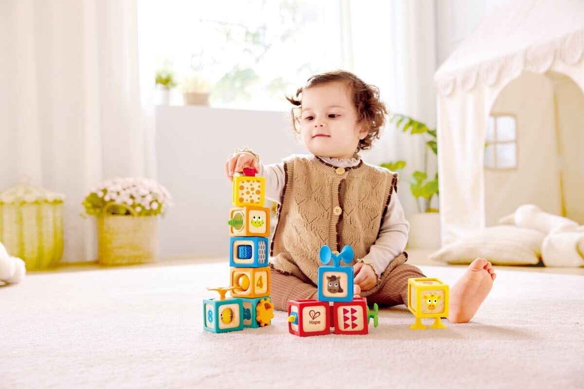 Hape - Delightful Discovery Blocks 87-0541