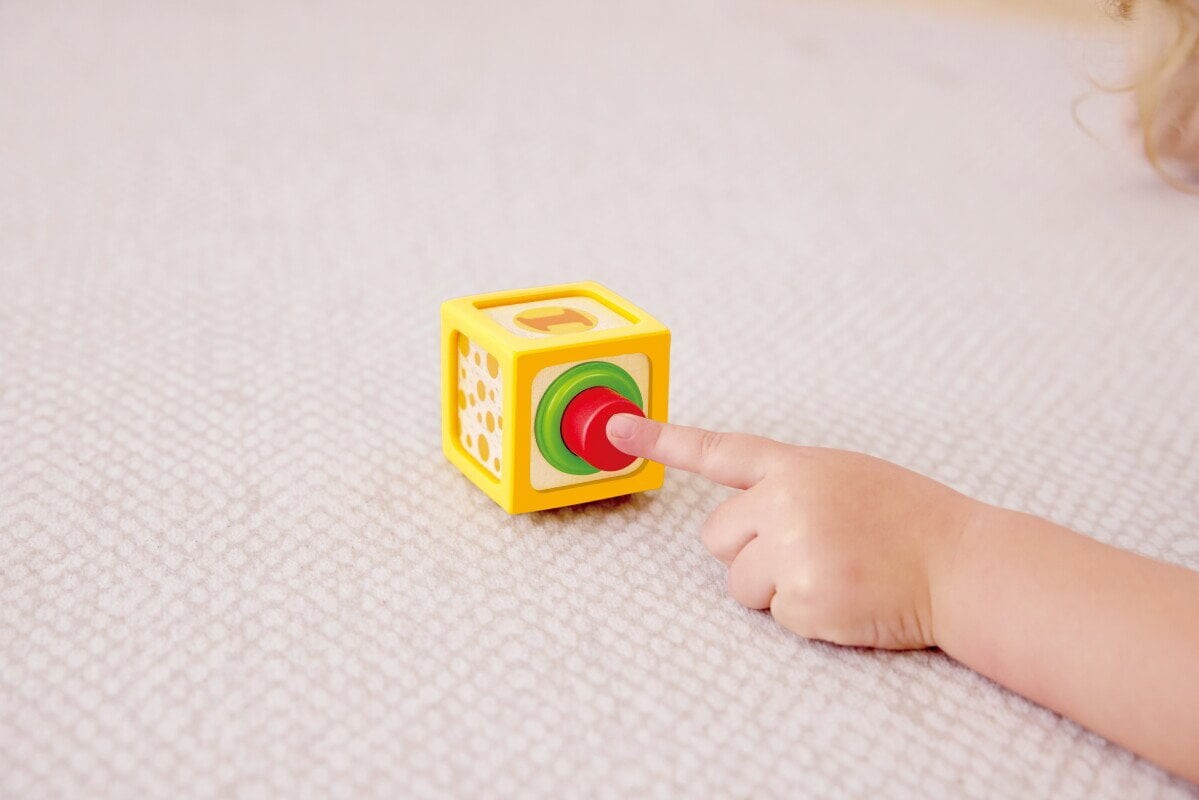 Hape - Delightful Discovery Blocks 87-0541