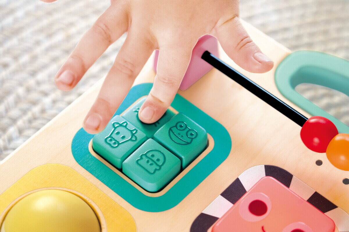 Hape - Gåvogn Med Aktiviteter