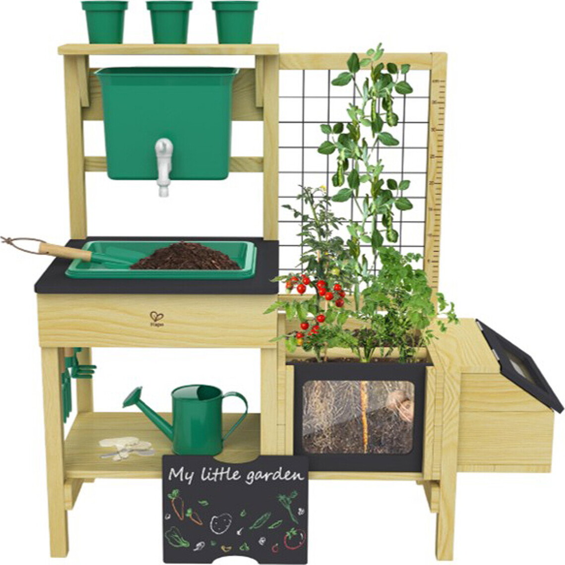 Hape - Grow Play Pottebord