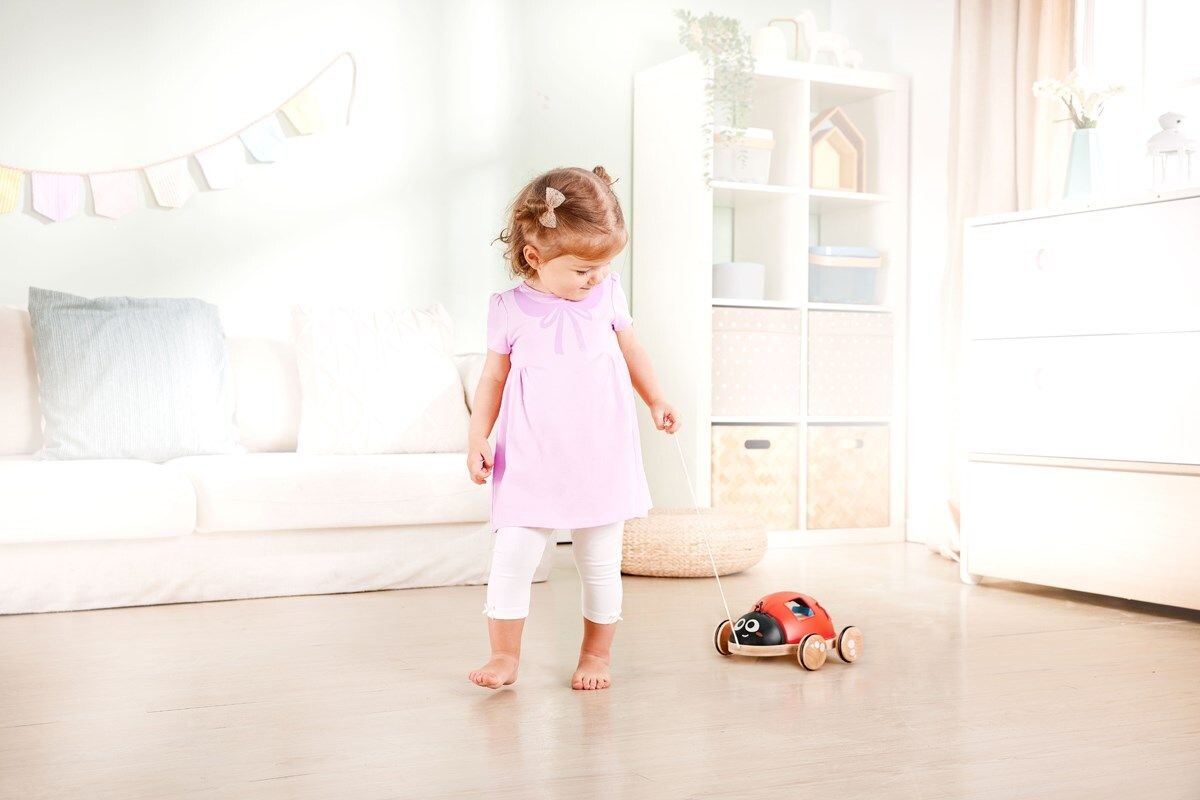 Hape - 2-I-1 Puttekasse Og Trækdyr - Marinehøne