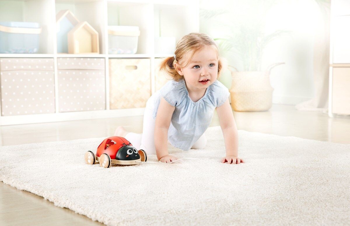 Hape - 2-I-1 Puttekasse Og Trækdyr - Marinehøne