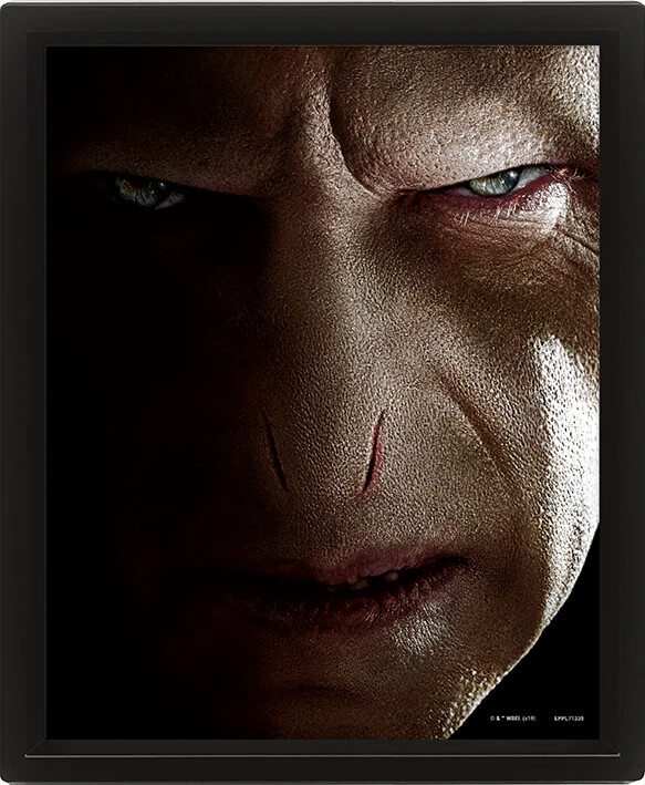 Harry Potter Harry Vs Voldemort - Framed