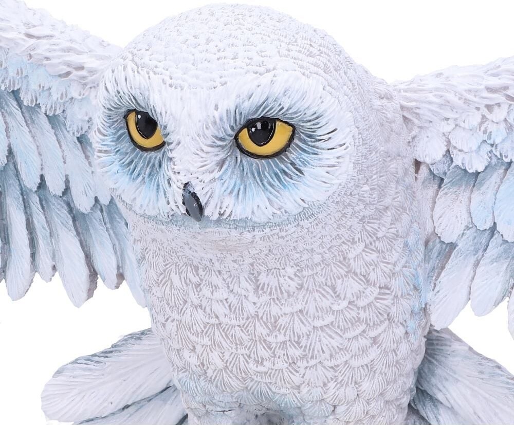 Harry Potter - Hedwig Vægplade - 45 Cm