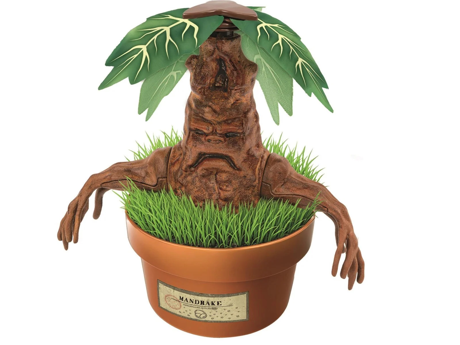 Harry Potter - Mandragola - Terrarium Kit