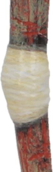 Harry Potter Julepynt - Ron Weasleys Tryllestav - 7 5 Cm