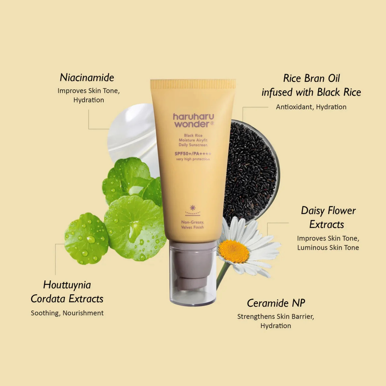 Haruharu Wonder - Black Rice Moisture Airyfit Daily Sunscreen Spf50 Pa -