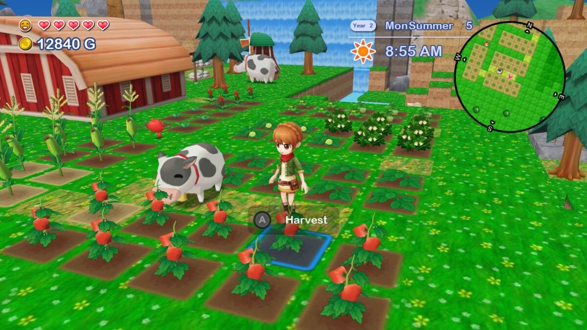Harvest Moon The Lost Valley Skytree Village Collector S Edition