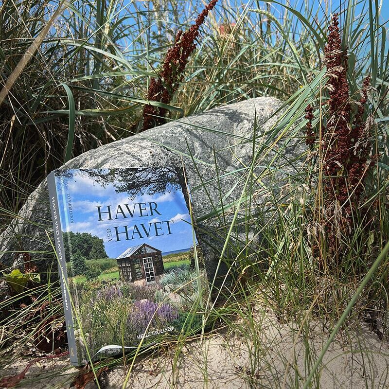 Haver Ved Havet